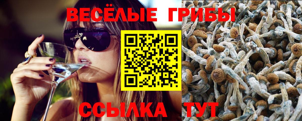 Галлюциногенные грибы ЛСД  даркнет сайт  Пугачёв  Вход с VPN  Галлюциногенные грибы ЛСД 